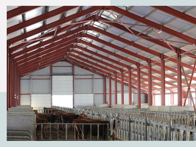 Строительство коровников в Братске