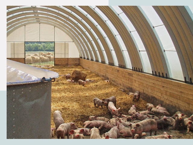 Строительство свинарников в Братске