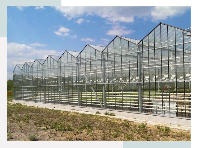 Строительство теплиц в Братск от 612 руб. за м²